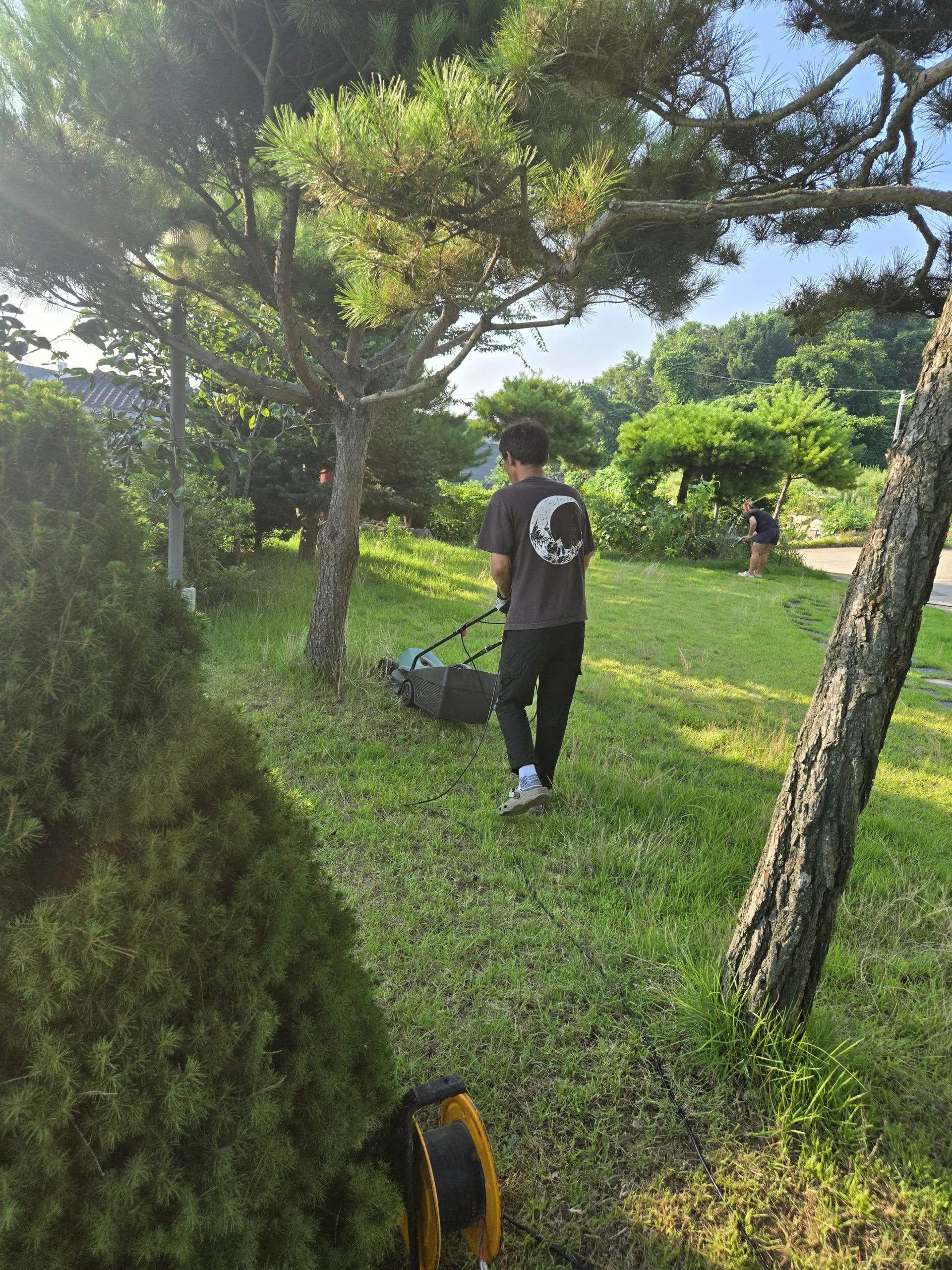 잔디관리 교육 나무 사이 잔디 구간을 깎으며 이동하는 실습 실제 수강 사진